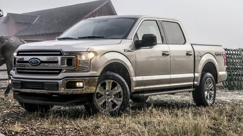 FORD F-150 2019 1FTEW1EP1KKD66959 image