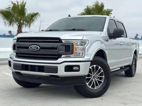 FORD F-150 2019 1FTEW1EP7KKE72915 image