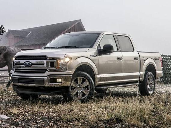FORD F-150 2019 1FTEW1EP3KFB29950 image