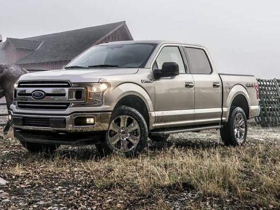 FORD F-150 2019 1FTEW1CP7KKD10916 image