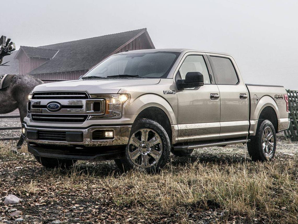 FORD F-150 2019 1FTEW1EP1KFC30159 image