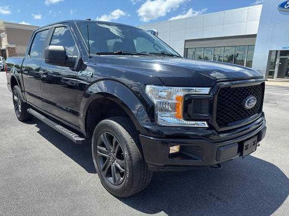 FORD F-150 2019 1FTEW1E47KKF02274 image