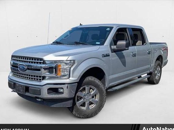 FORD F-150 2019 1FTEW1EP7KKC11669 image