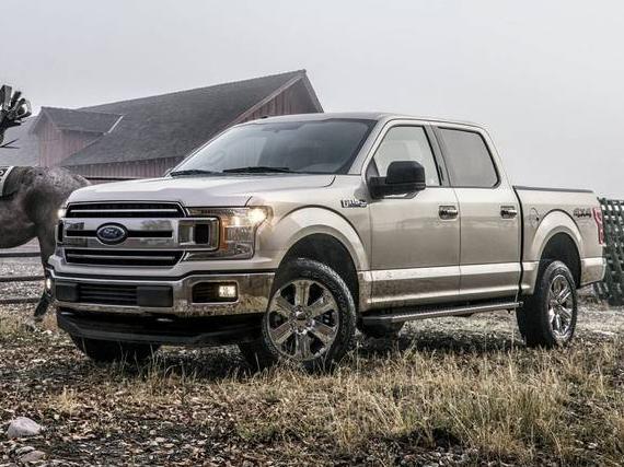 FORD F-150 2019 1FTEW1E43KKE15469 image