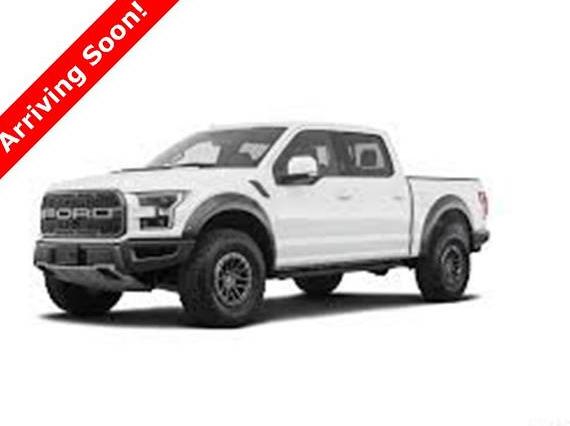 FORD F-150 2019 1FTFW1RG3KFA11606 image