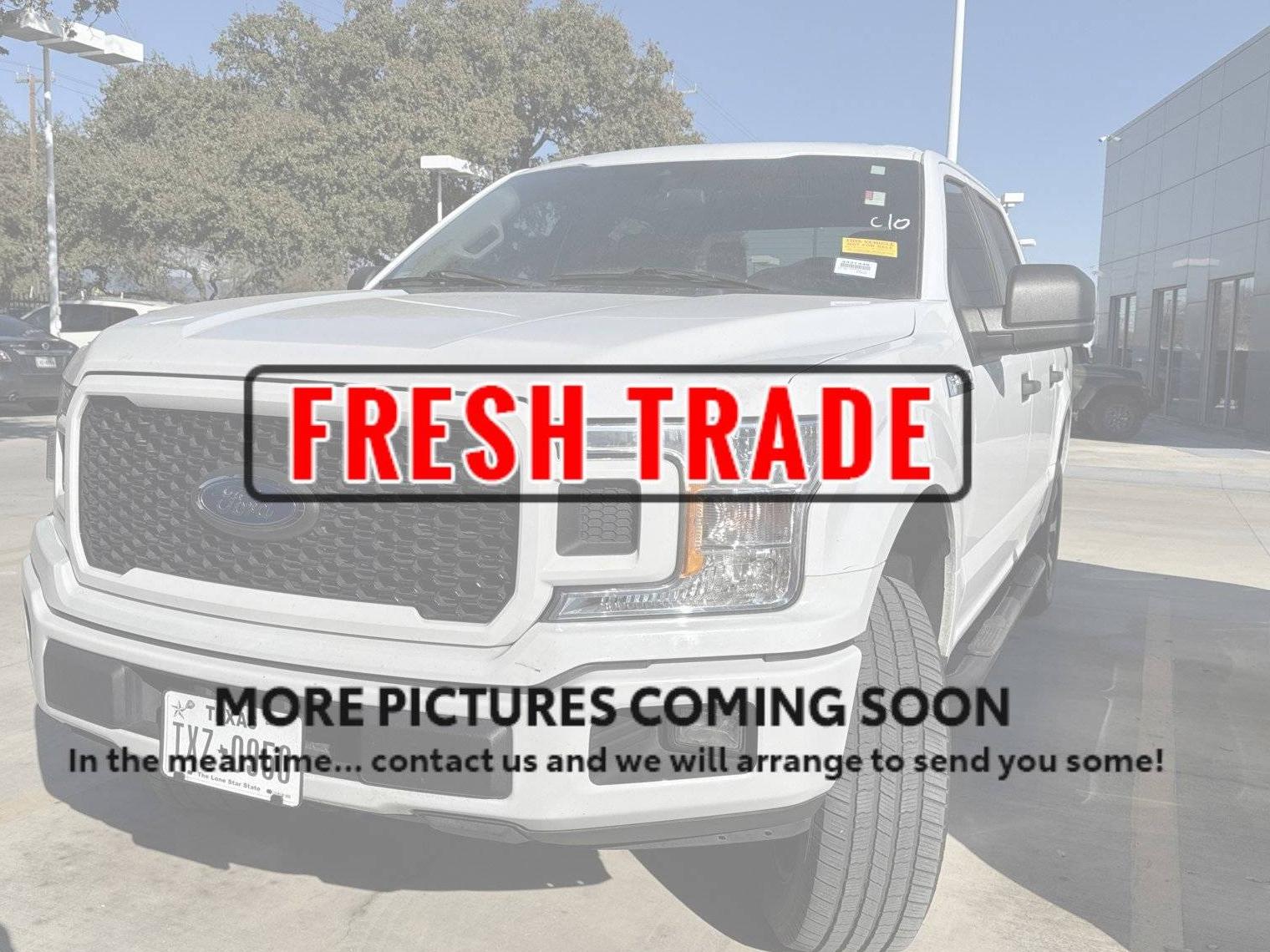 FORD F-150 2019 1FTEW1CP0KKC30177 image