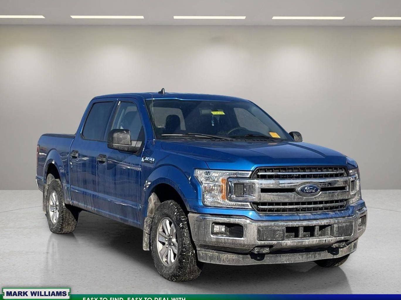 FORD F-150 2019 1FTEW1E48KFC82541 image