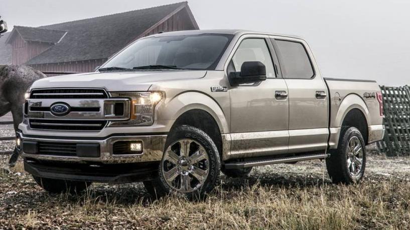 FORD F-150 2019 1FTEW1EP7KFD24031 image