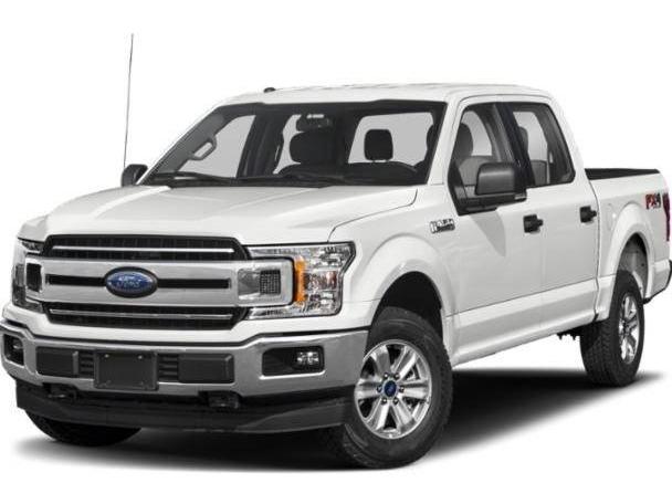 FORD F-150 2019 1FTEW1EP4KFA74229 image