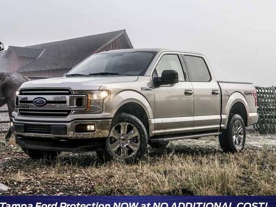 FORD F-150 2019 1FTEW1E51KKE49323 image