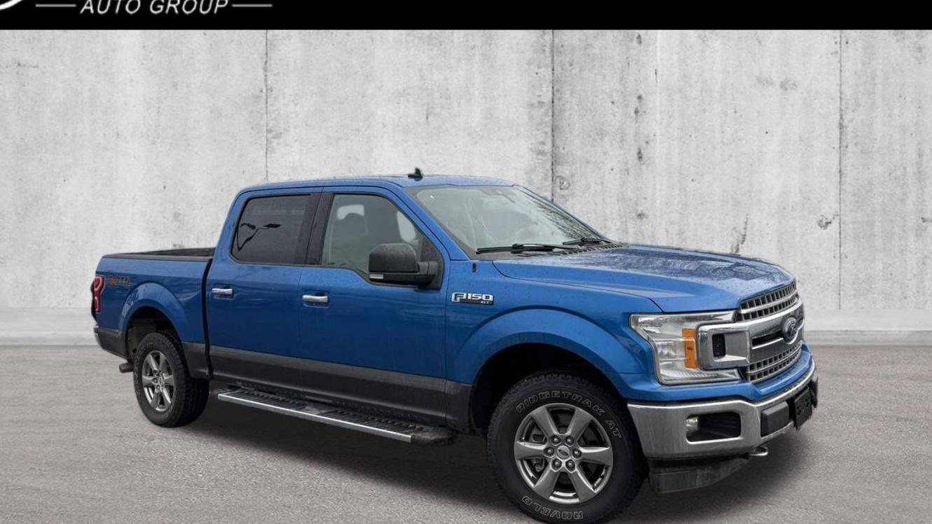 FORD F-150 2019 1FTEW1E43KFC58793 image