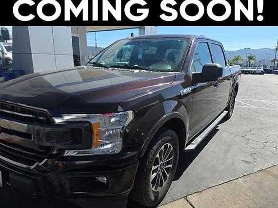 FORD F-150 2019 1FTEW1CP6KKC60493 image