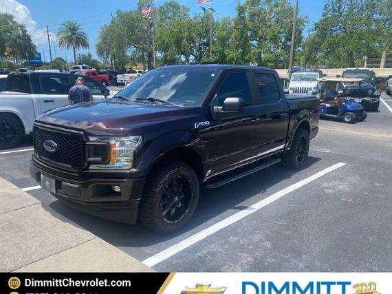 FORD F-150 2019 1FTEW1CP4KKC27895 image
