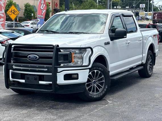 FORD F-150 2019 1FTEW1EP6KFC50598 image