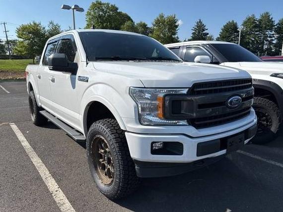 FORD F-150 2019 1FTEW1EP5KFB32221 image