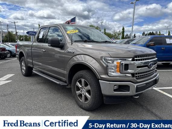 FORD F-150 2019 1FTFX1E51KFB42390 image