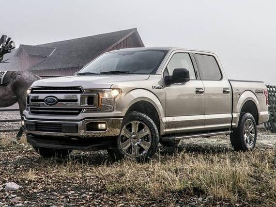 FORD F-150 2019 1FTEW1EP4KKE38107 image