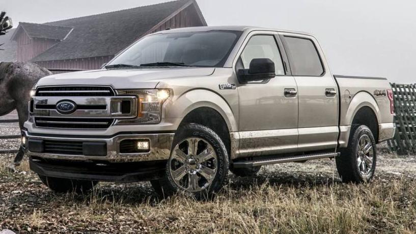 FORD F-150 2019 1FTEW1EP8KFA89557 image