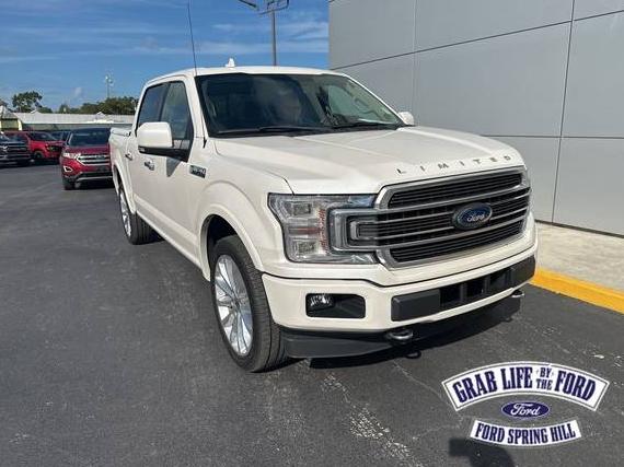 FORD F-150 2019 1FTEW1EG4KFD10376 image