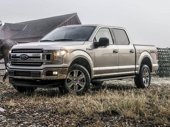 FORD F-150 2019 1FTEW1E42KFC41502 image
