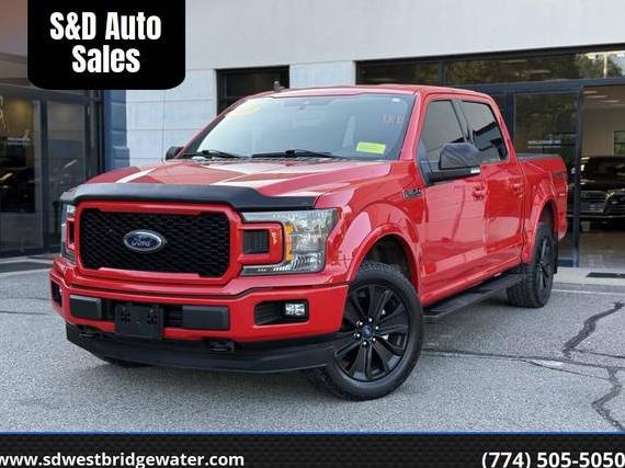FORD F-150 2019 1FTEW1EP4KFC21763 image