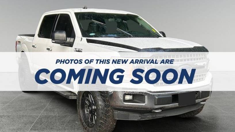 FORD F-150 2019 1FTEW1E58KKC25529 image