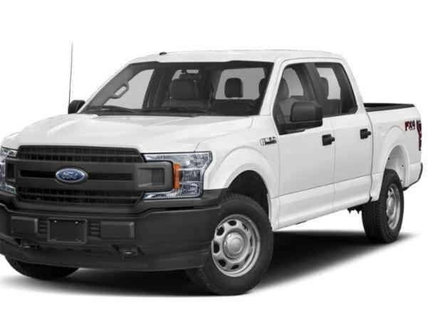 FORD F-150 2019 1FTEW1EP0KKE93721 image