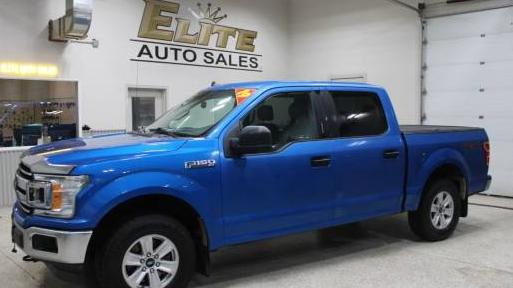 FORD F-150 2019 1FTEW1EP0KFC58745 image