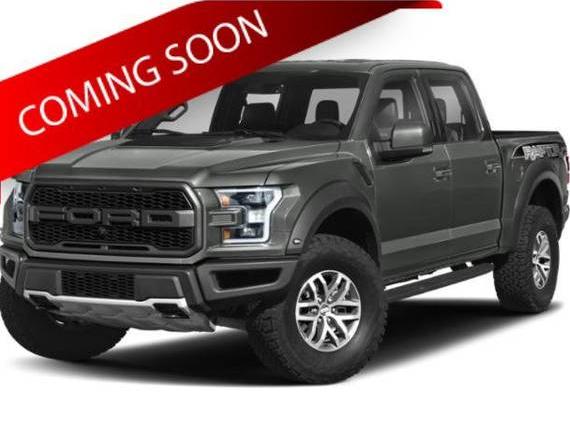 FORD F-150 2019 1FTFW1RG8KFC17519 image