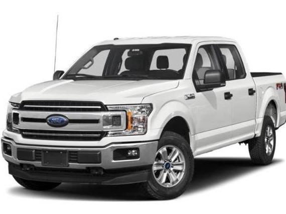 FORD F-150 2019 1FTEW1EP1KFB92822 image