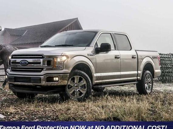 FORD F-150 2019 1FTEW1CP9KFB12721 image