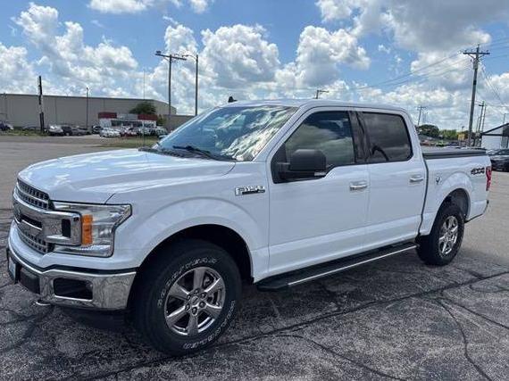 FORD F-150 2019 1FTEW1EP5KKD02827 image