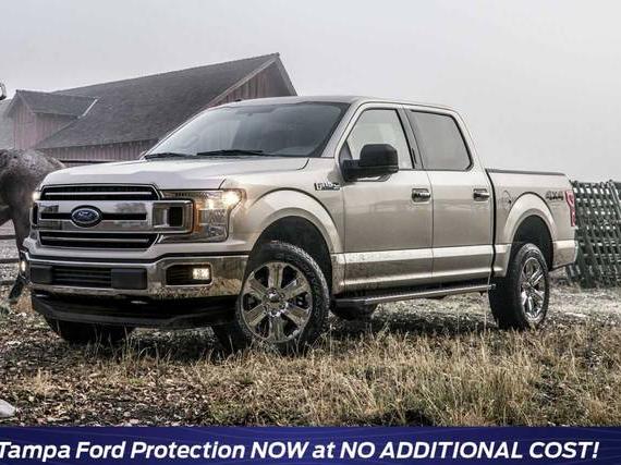 FORD F-150 2019 1FTEW1E53KFD50348 image