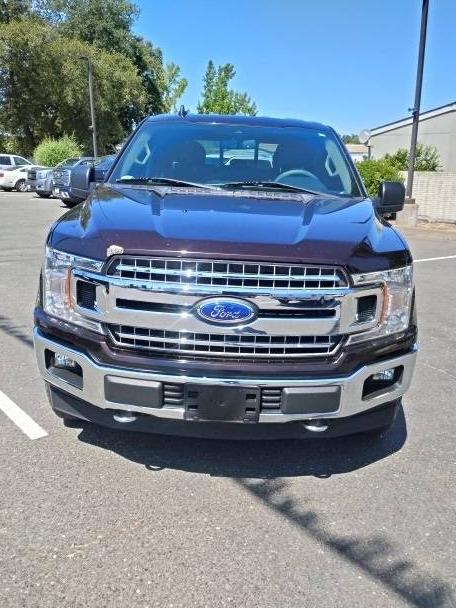 FORD F-150 2019 1FTEW1E55KKD28701 image