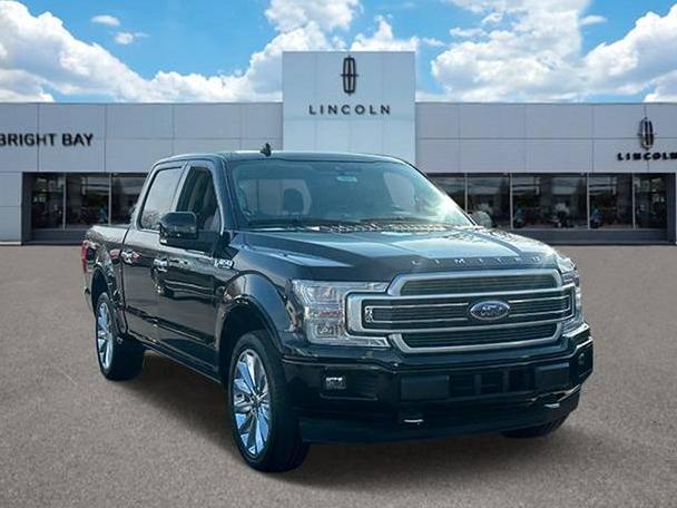 FORD F-150 2019 1FTEW1EG5KFA48495 image