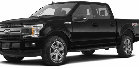 FORD F-150 2019 1FTEW1EP8KKE53905 image