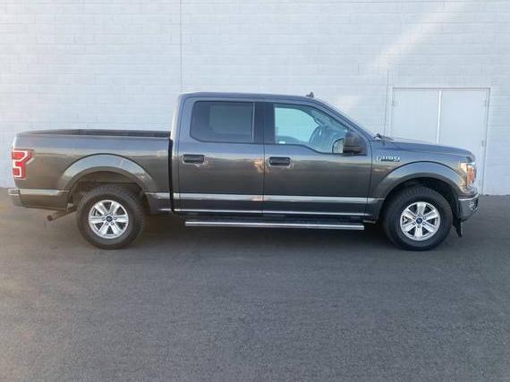FORD F-150 2019 1FTEW1CP2KKE15881 image
