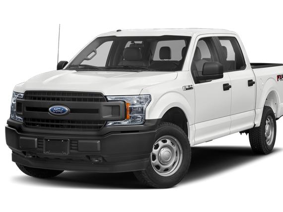 FORD F-150 2019 1FTEW1EP9KFB04244 image