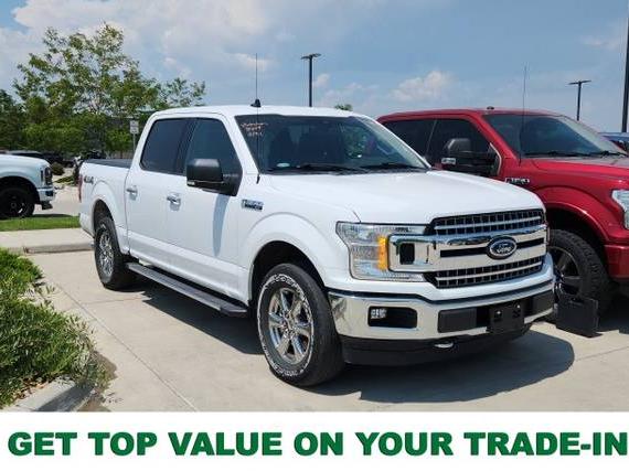 FORD F-150 2019 1FTEW1EP1KKE79634 image