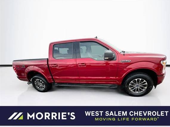 FORD F-150 2019 1FTEW1EP6KKC13607 image
