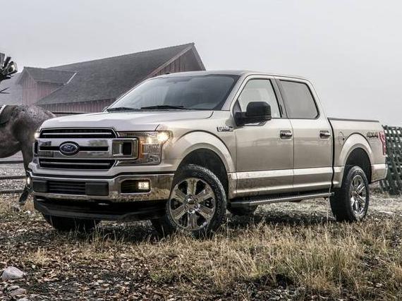 FORD F-150 2019 1FTMF1EBXKKE09727 image