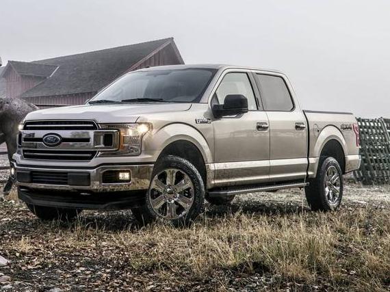 FORD F-150 2019 1FTEW1CP9KKC46703 image