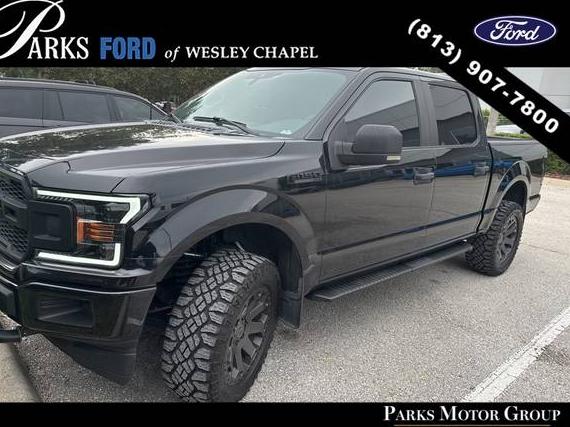 FORD F-150 2019 1FTEW1CP8KFB25251 image