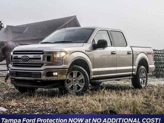 FORD F-150 2019 1FTEW1CP9KFC97241 image