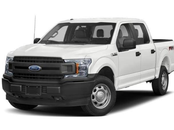 FORD F-150 2019 1FTEW1E57KKC94664 image