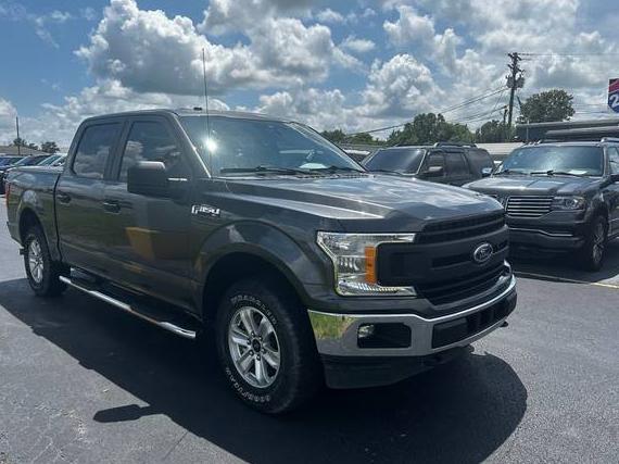 FORD F-150 2019 1FTEW1EP3KKD67997 image