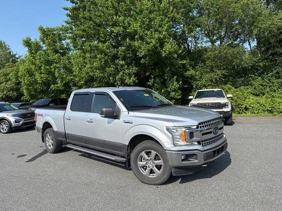 FORD F-150 2019 1FTFW1E45KFA84679 image