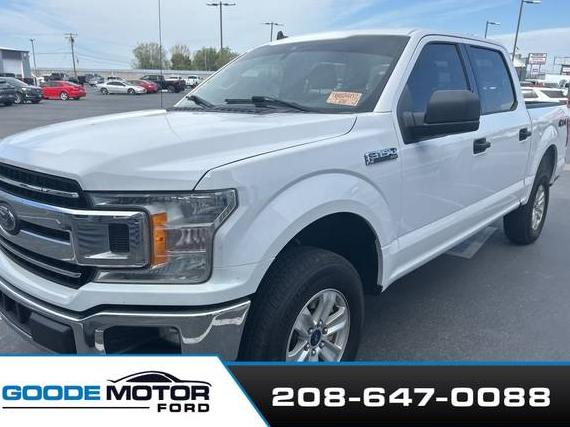 FORD F-150 2019 1FTEW1EP6KKD49655 image