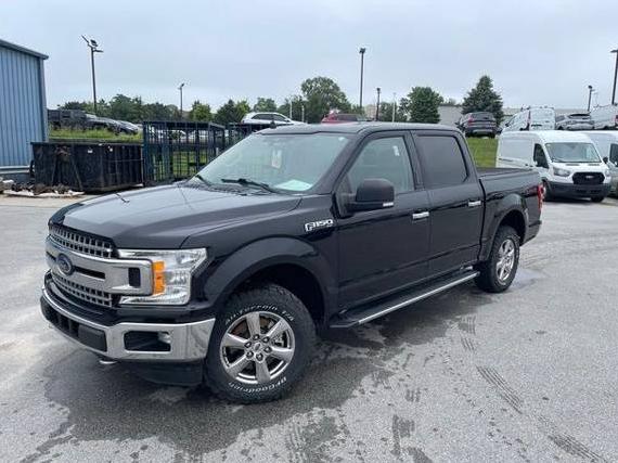 FORD F-150 2019 1FTEW1EP9KKC85644 image