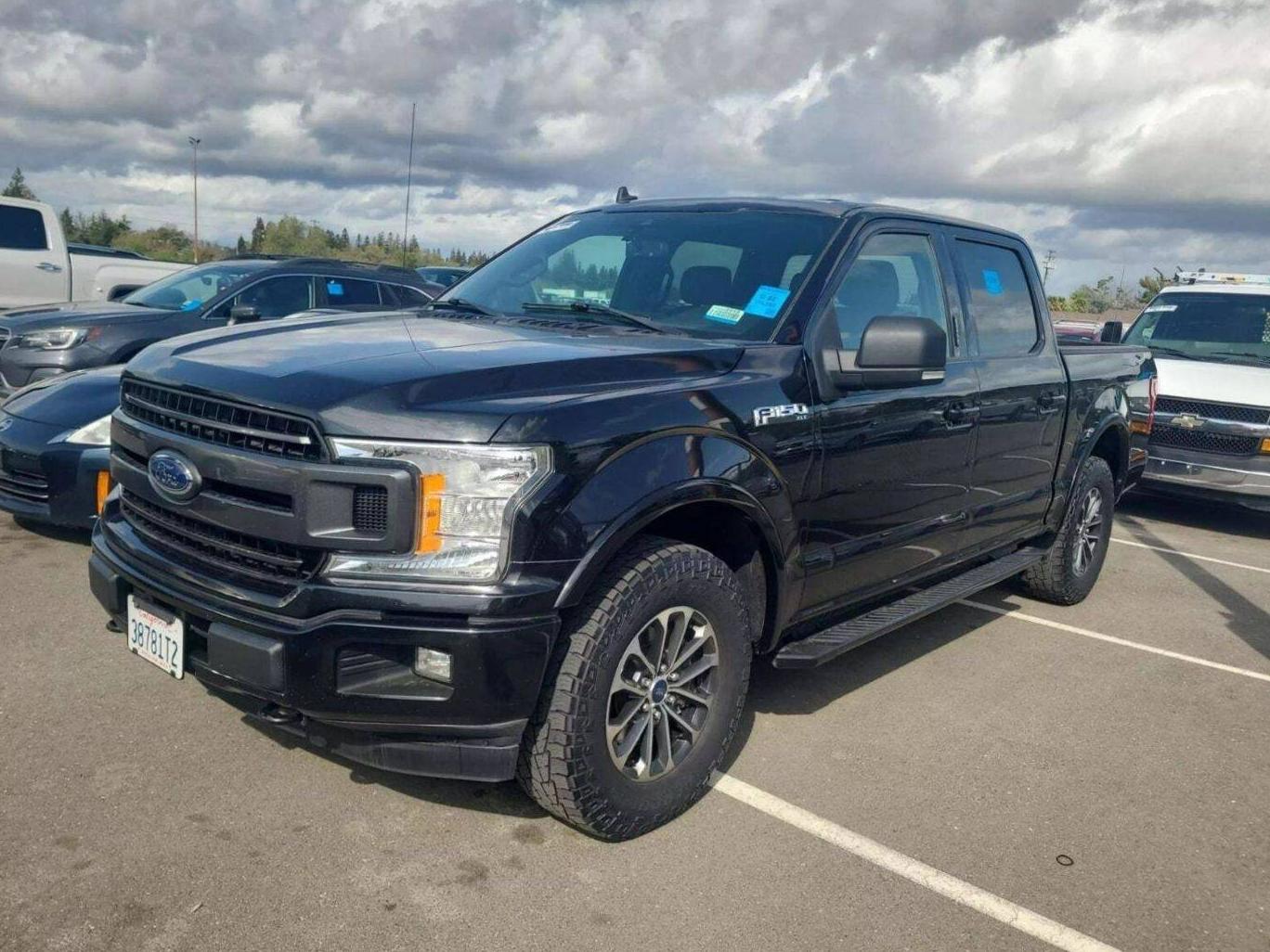 FORD F-150 2019 1FTEW1EP8KKC36161 image